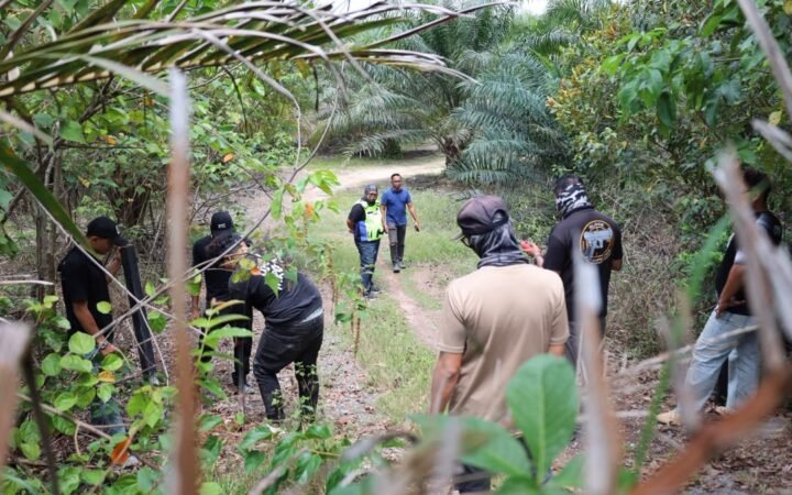 Penerokaan Haram HSK Tasek Bera: Ketirisan Hasil Negeri Pahang RM387.8 Juta